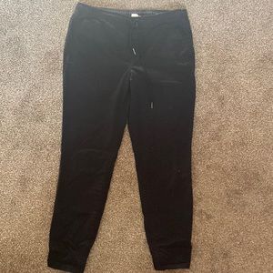 Tentree pacific jogger